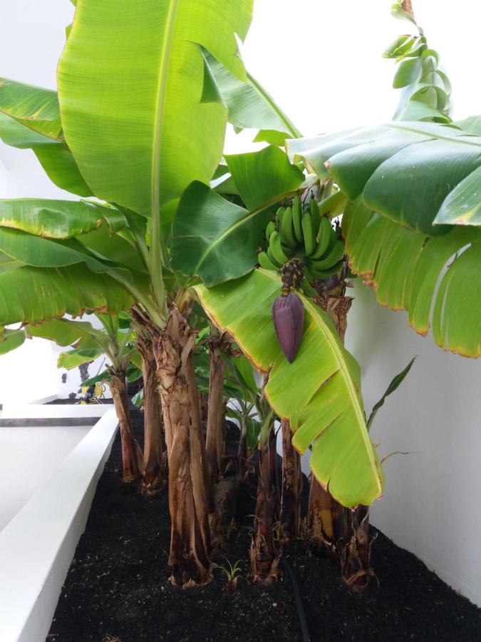Villa Lanzarote 푸에르토카레로 외부 사진